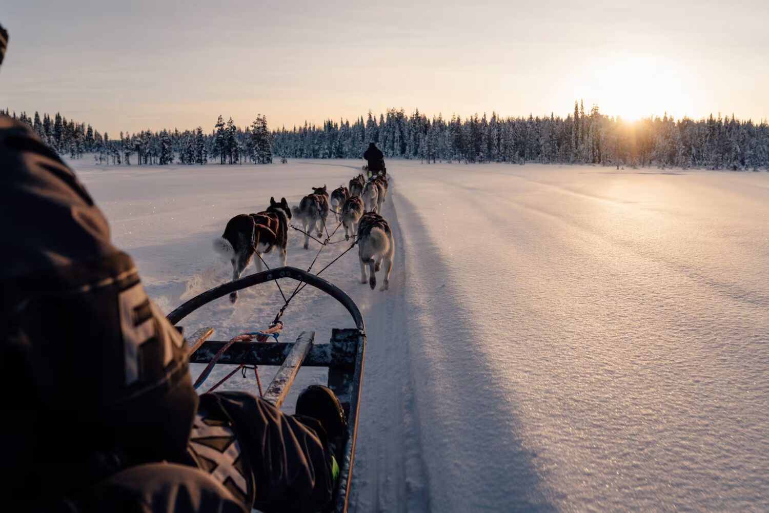 20230122 - Husky - SwissWax 35