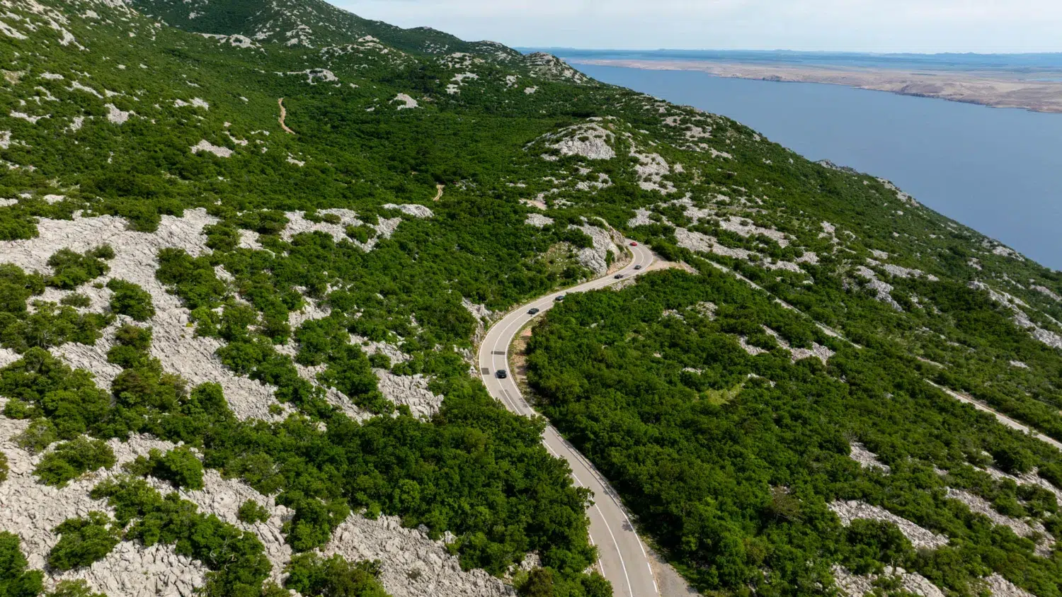 HLS26Croatia--239